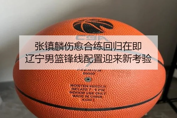 img_1787678377498_6347_0_681.jpg